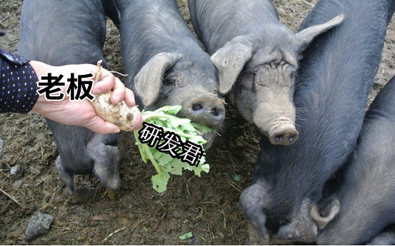 糟糕,全球“狗策劃”都要被裁了!豬場發布的新AI遊戲工具太超了 糟糕,全球“狗策劃”都要被裁了!豬場發布的新AI遊戲工具太超了