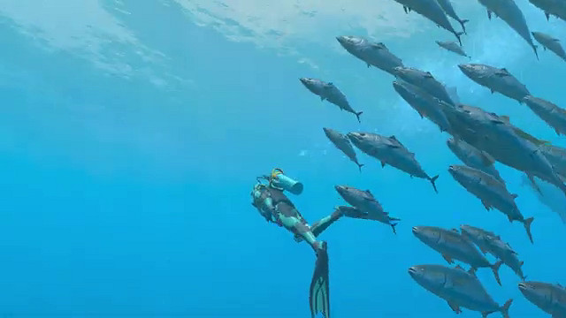 《永恆蔚藍:流光》“海洋之聲”預告 5月2日發售 《永恆蔚藍:流光》“海洋之聲”預告 5月2日發售