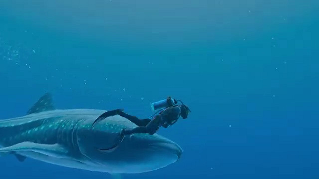 《永恆蔚藍:流光》“海洋之聲”預告 5月2日發售 《永恆蔚藍:流光》“海洋之聲”預告 5月2日發售